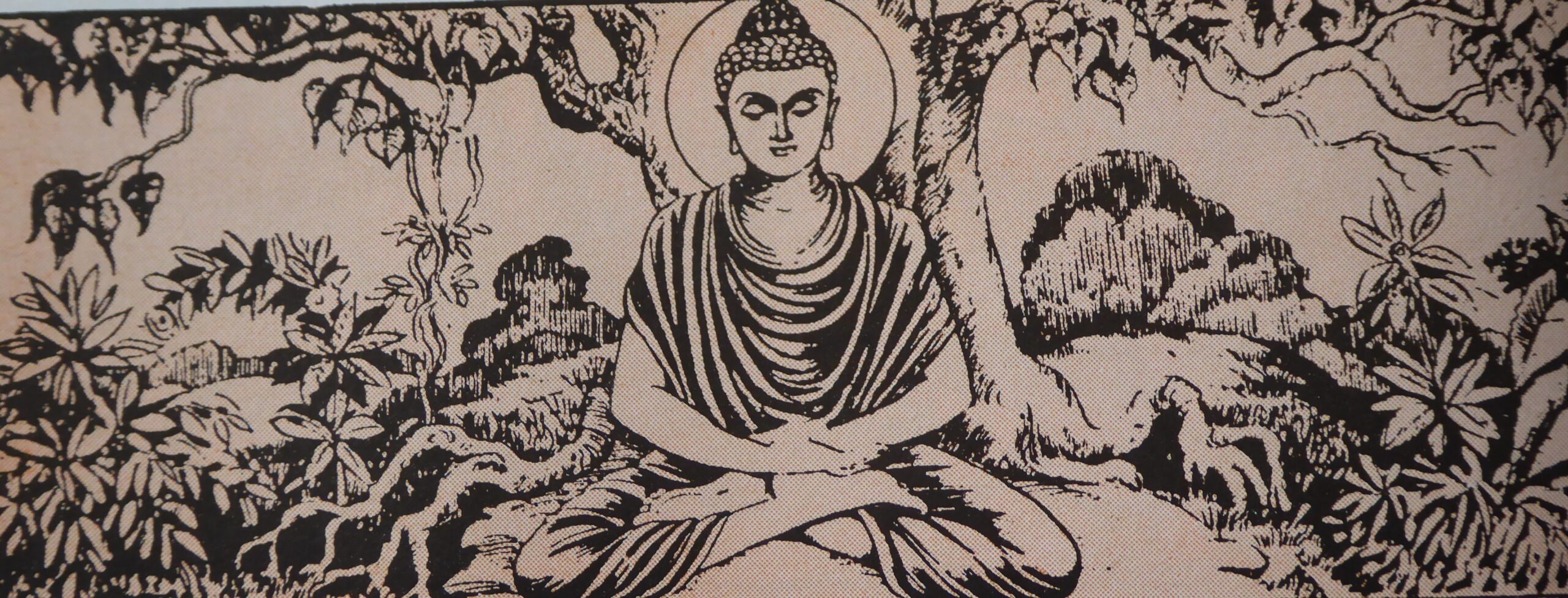 What are the 12 deeds of Buddha?